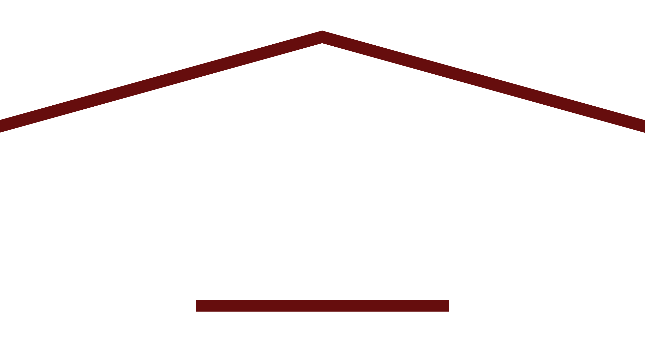 Brazos Holiday Lights